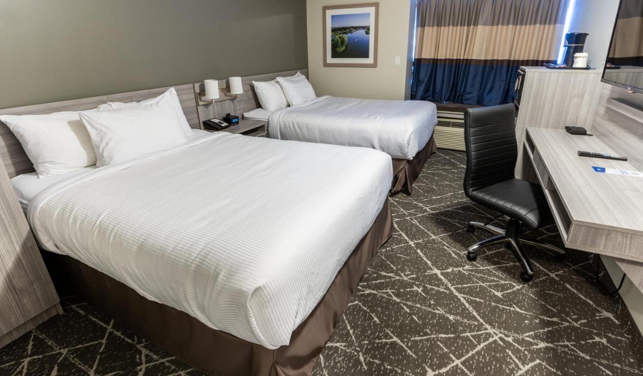 Microtel Inn & Suites By Wyndham לוידמינסטר מראה חיצוני תמונה